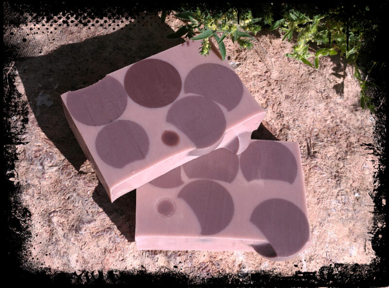 Two bars of soap, medium brown with dark brown spheres embedded in them.