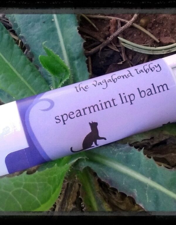 A white lip balm tube; the label says 'spearmint'.