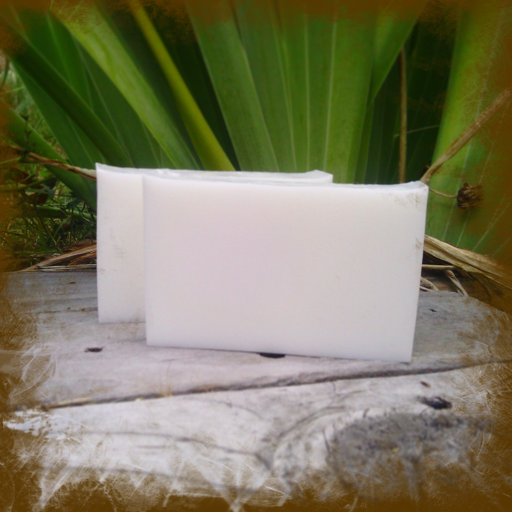 Two bars of plain white soap.