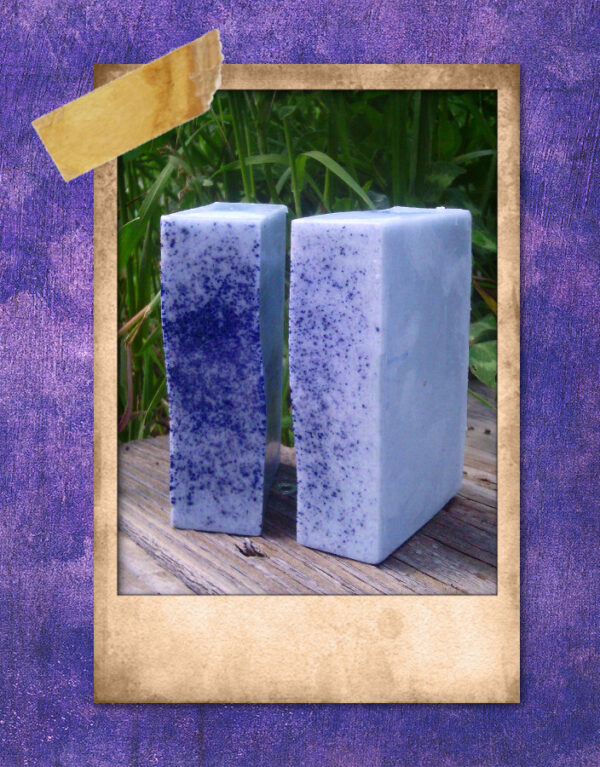 Two bars of blue soap.