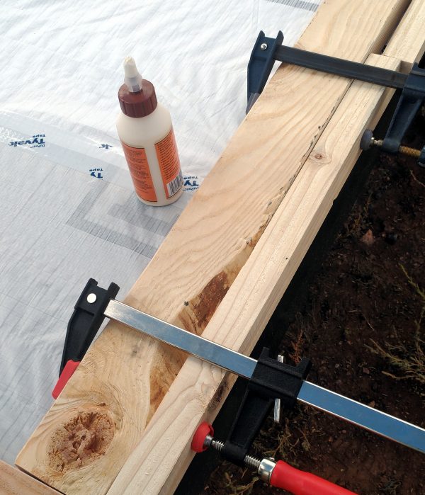 A length of 2x2 & a length of 2x4, laid next to each other & clamped together, with a bottle of wood glue sitting nearby.