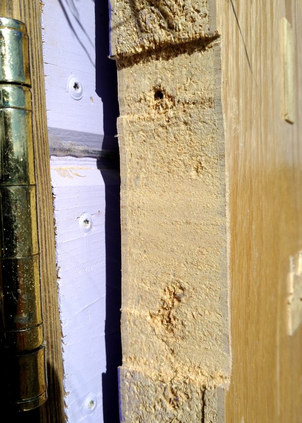 The edge of the door, which now has a mortise cut in it -- basically a recessed area that the flat part of the hinge fits into, so there's less of a gap between the door & the doorframe.