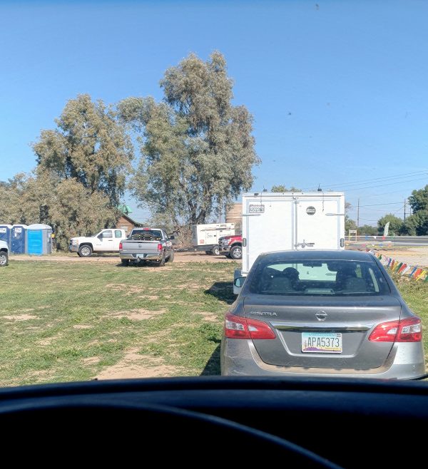 The view from inside the van: a line of cars & trucks waiting to get into Estrella, with a couple trees in the background & above that, blue sky.