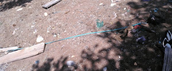 A teal leash stretched across the ground; one end is stuck on a board, & the other end holds a barely-visible cat harness.