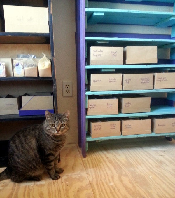 The bottom four shelves now hold cardboard boxes full of soap. Tom's sitting next to the shelves, looking faintly skeptical.