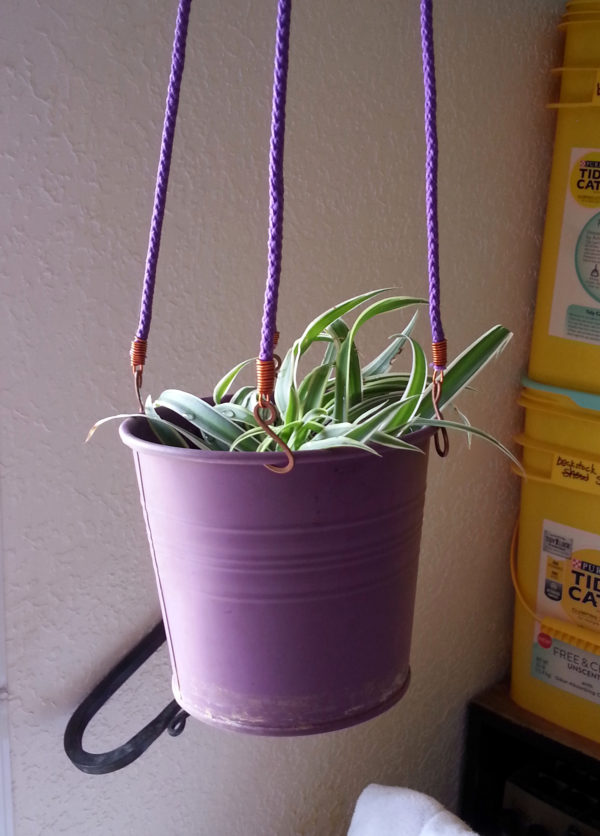 A wee striped spider plant sits in a purple metal pot that's hanging from four purple cords with copper hooks on the end, because have you met me.