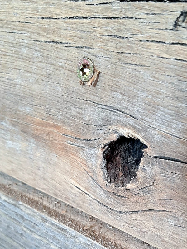 The knothole is rough & kind of oblong in shape; the wood grain parts around it like a river around a rock.